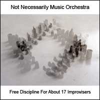 Not Necessarily Music Orchestra